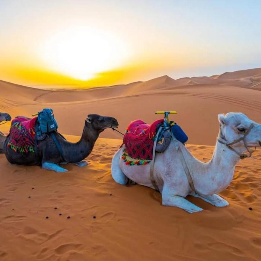 Merzouga Heart Camp エクステリア 写真